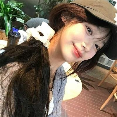 征服北极的人